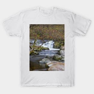Aira High Force Waterfall T-Shirt